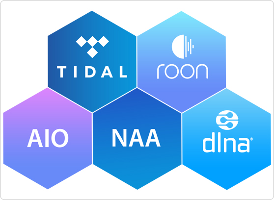 iFi Audio ZEN Stream - cecha 5